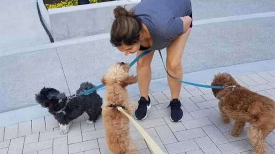 Zeynep Korel kimdir?