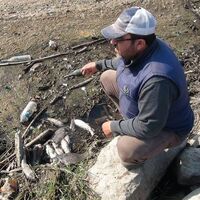 Tam bir felaket! Toplayıp eve götüren var