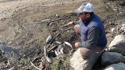 Tam bir felaket! Toplayıp eve götüren var