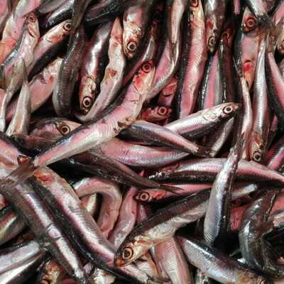 Kilosu 5 TL'ye düştü! Kapış kapış satılıyor