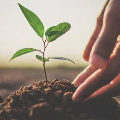 'Geleceğe Nefes Ol'a destek çığ gibi