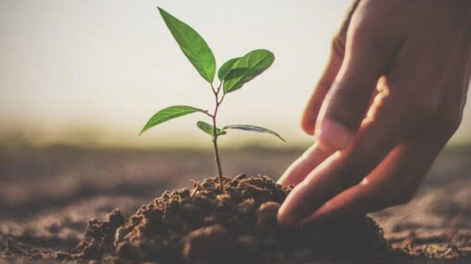 'Geleceğe Nefes Ol'a destek çığ gibi