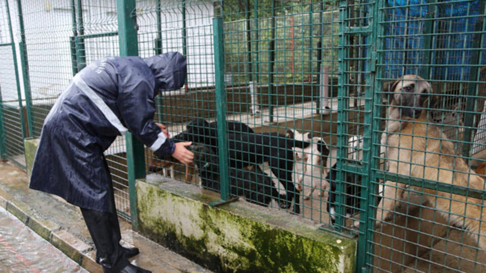 Tepki çeken görüntülere belediyeden açıklama