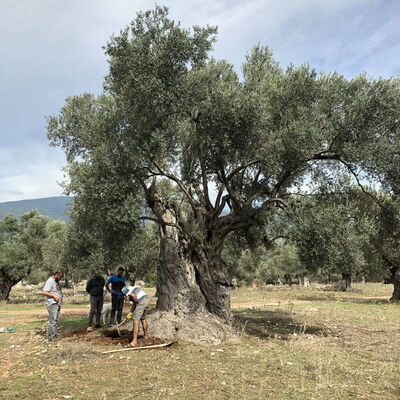Nükleer fizikçiler Muğla'daki o sırrı ortaya çıkardı!