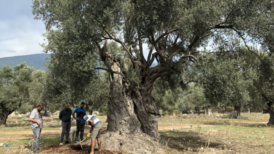 Nükleer fizikçiler Muğla'daki o sırrı ortaya çıkardı!