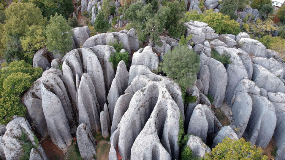'Avatar' filminden değil Antalya'dan