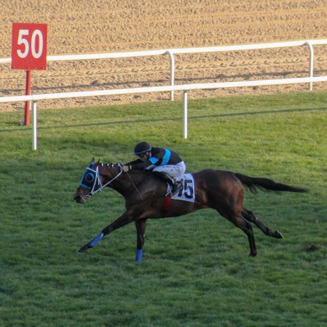 Cumhurbaşkanlığı Koşusu Long Runner'ın