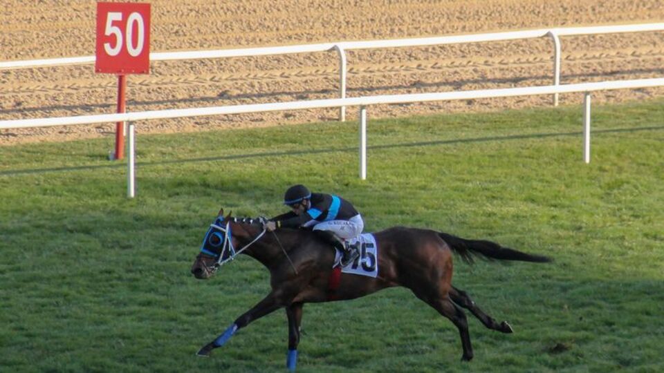 Cumhurbaşkanlığı Koşusu Long Runner'ın