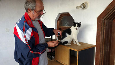 Sakın çöpe atmayın, ölüsü bile tehlike!