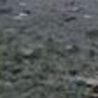 Tel Abyad'da bombalı saldırı: 13 ölü