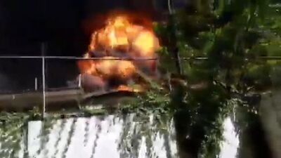 Meksika'da orman yangınları