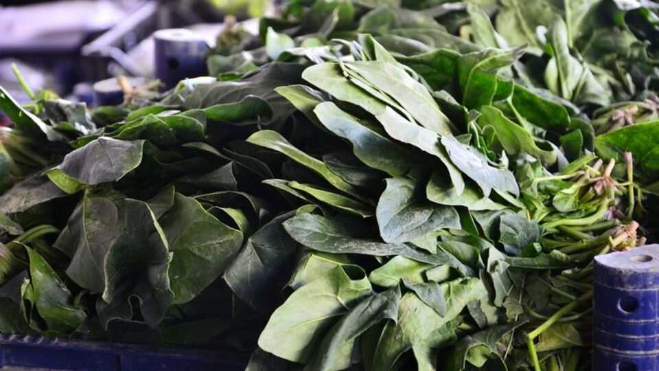 Nardan sonra ıspanak!