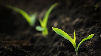 Geleceğe Nefes Kampanyası başvuru nasıl yapılır?