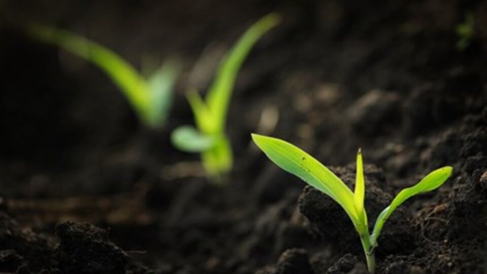 Geleceğe Nefes Kampanyası başvuru nasıl yapılır?