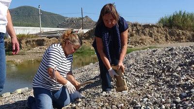 Bulursanız gömün! Kıyı şeridinde harekete geçildi