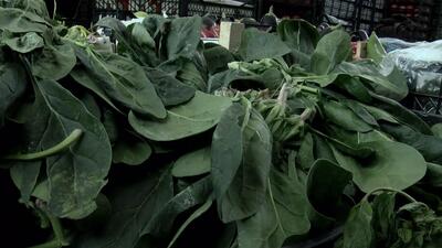 Ispanak alırken bunu kullanın!