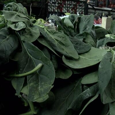 "Nedeni ortaya çıkana kadar marketten ıspanak almayın"