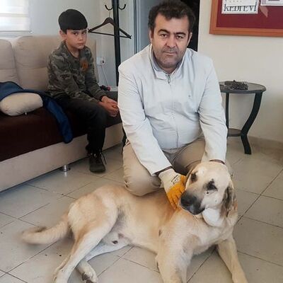 Yürek ısıtan yolculuk!