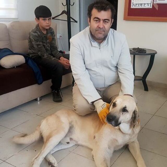 Yürek ısıtan yolculuk!