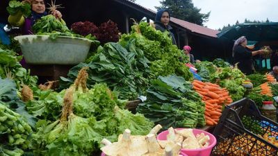 "Zehirli ıspanak" açıklaması