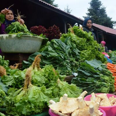 "Zehirli ıspanak" açıklaması