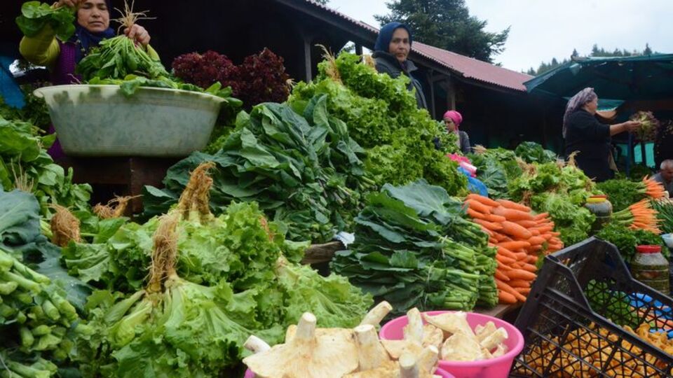 "Zehirli ıspanak" açıklaması