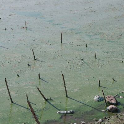 Tedirgin eden görüntü, uyarı yapıldı!