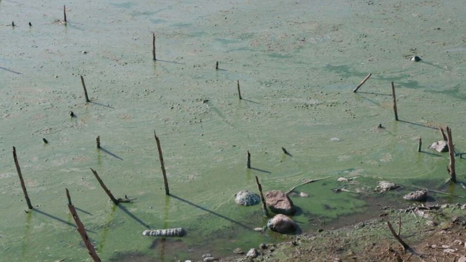 Tedirgin eden görüntü, uyarı yapıldı!