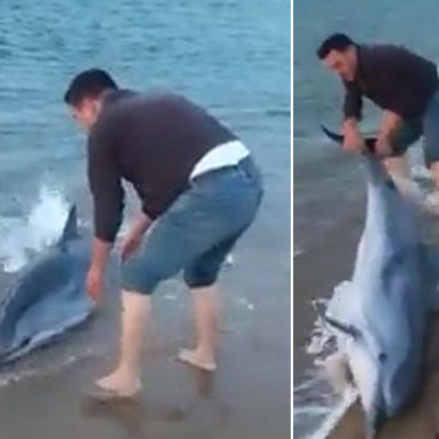 Kıyıda çırpındığını gördü! Büyük insanlık!