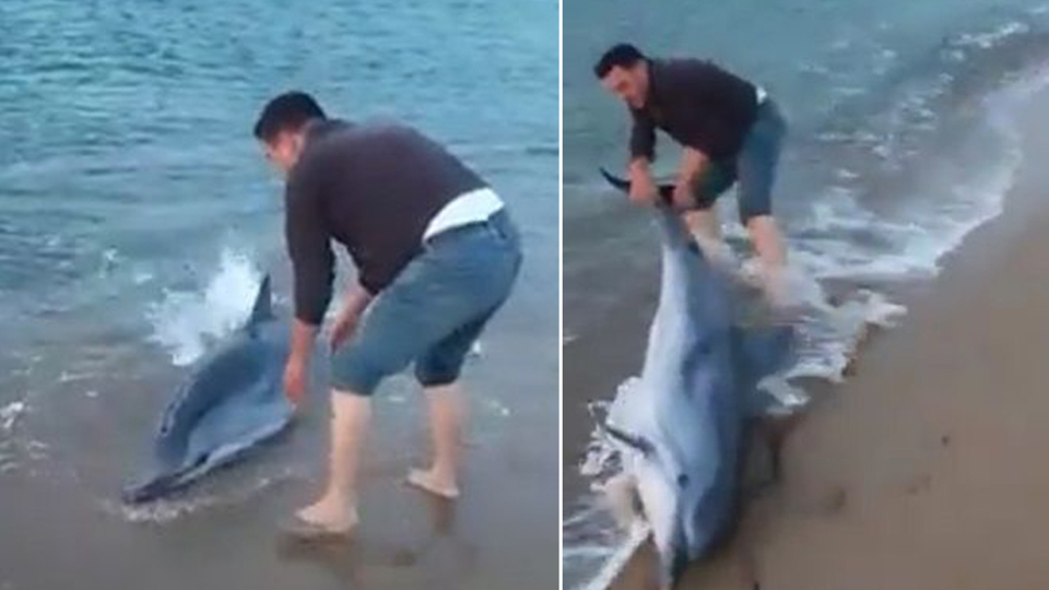 Kıyıda çırpındığını gördü! Büyük insanlık!