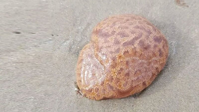 Dokunduktan sonra uyuşma hissetti!