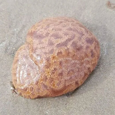 Dokunduktan sonra uyuşma hissetti!