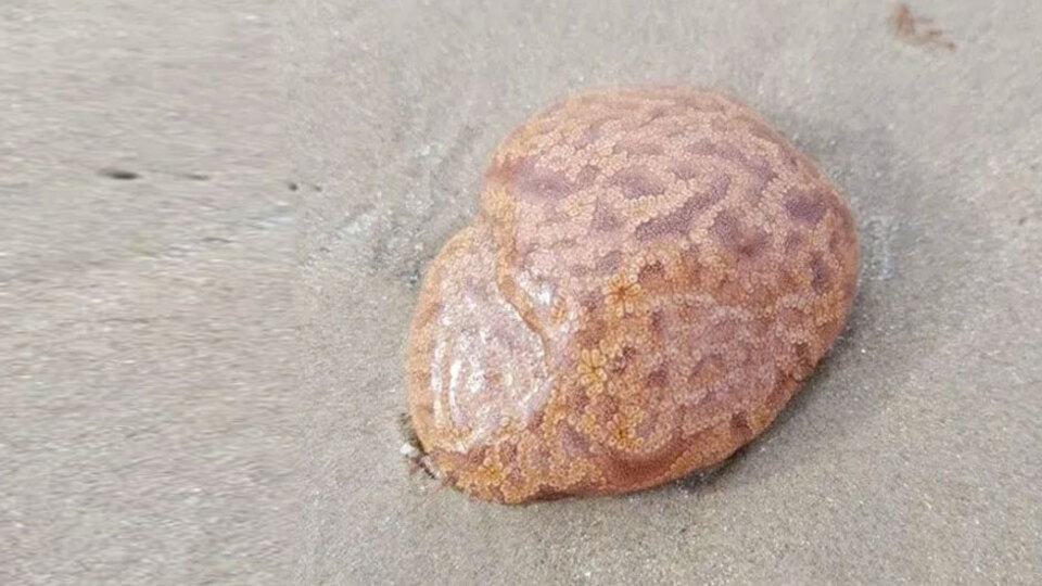 Dokunduktan sonra uyuşma hissetti!