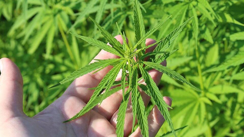 Tarımsal desteklere "girdi maliyeti" ayarı