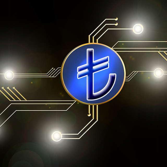 TL coin geliyor!