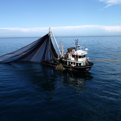 "Yeni Su Ürünleri Kanunu ile kaçak avcılık bitecek"