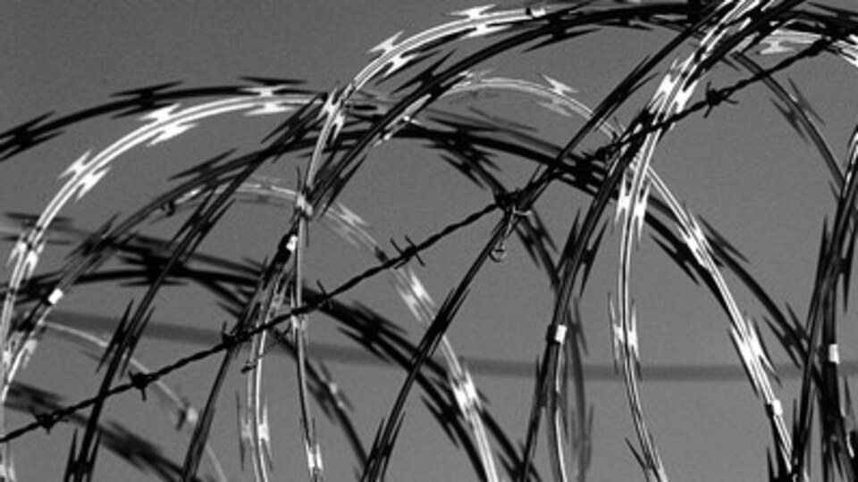 Af yasası son durum nedir?