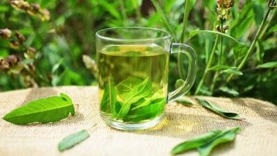 Adaçayı nasıl hazırlanır? Adaçayının faydaları ve yan etkileri neledir?