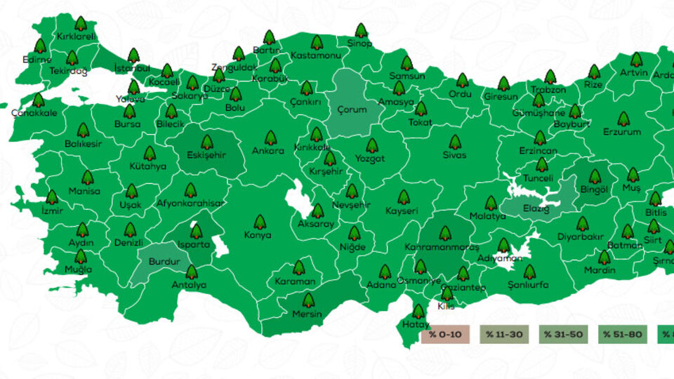 Geleceğe Nefes Kampanyası fidan dikimi nerede?