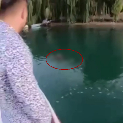 Turistlere manzara şoku! Dehşete düştüler...