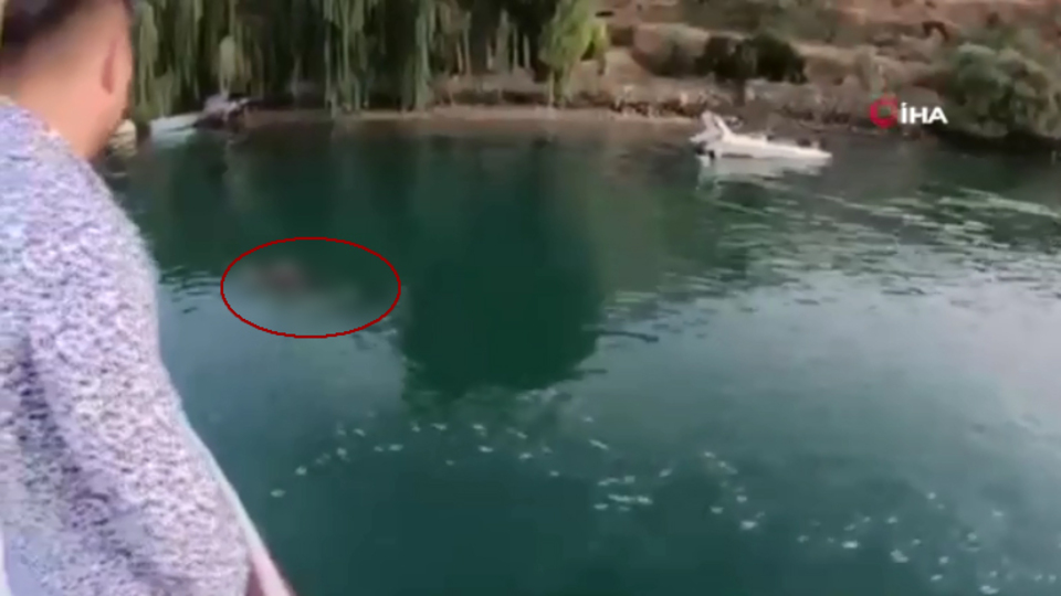 Turistlere manzara şoku! Dehşete düştüler...