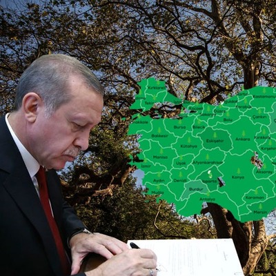 Rekor ilgi! Saat 11.11 çağrısı!