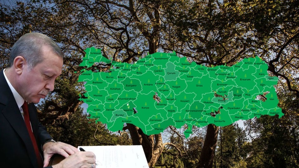 Rekor ilgi! Saat 11.11 çağrısı!