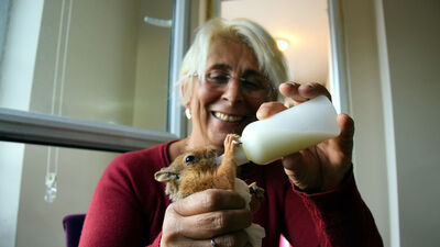 Felçli sincaba bebek gibi bakıyor