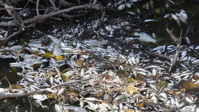 17 köyü etkileyen felaket!