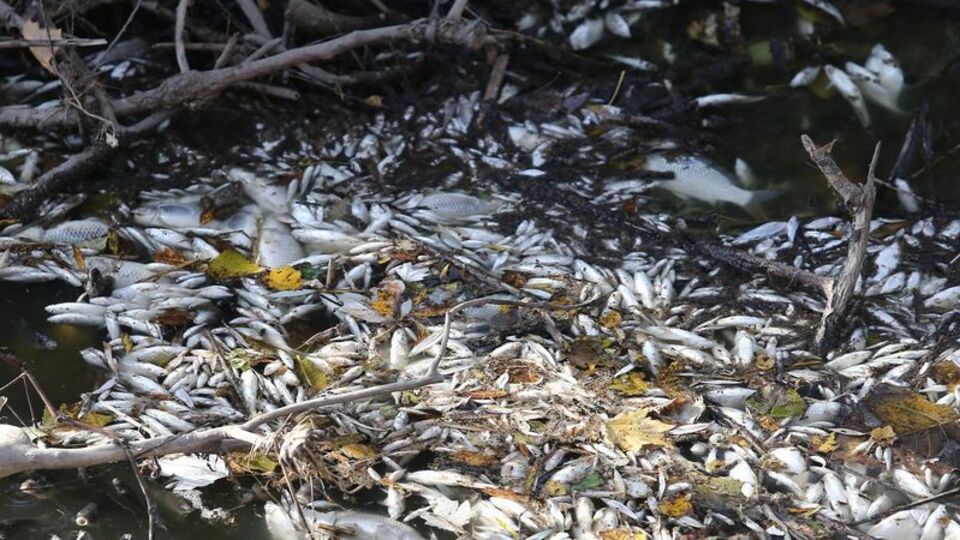 17 köyü etkileyen felaket!