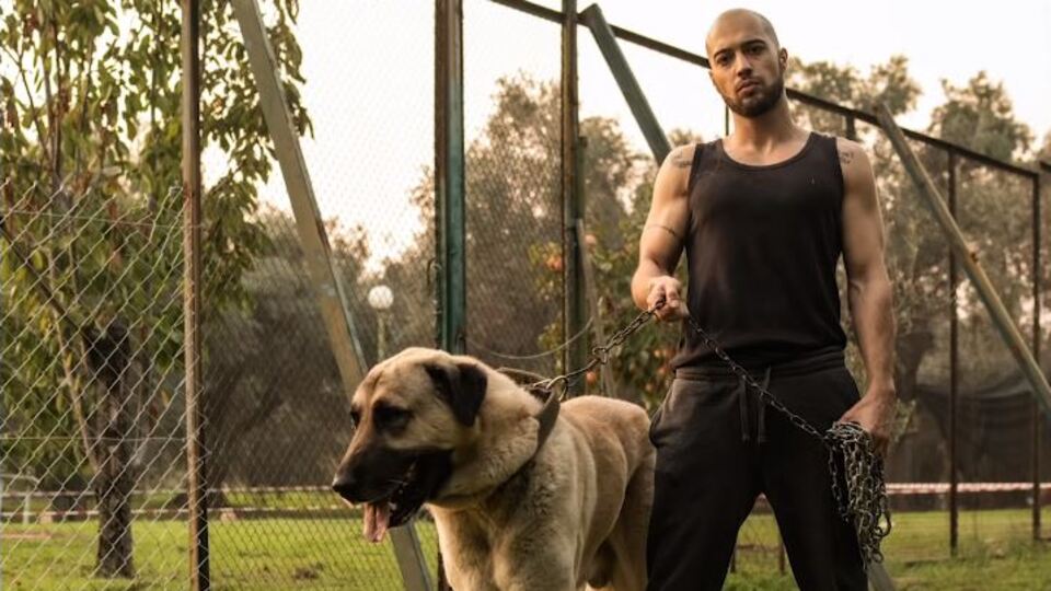 Ben Fero'nun Arkadaş'ı ilk sırada