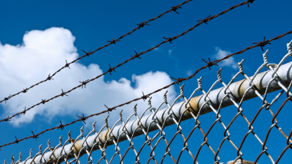 Af yasası ceza indirimi ne zaman çıkacak?