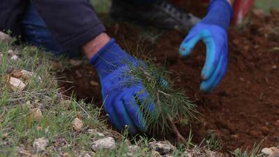 Geleceğe Nefes kampanyası fidan dikimi yerleri nerede?