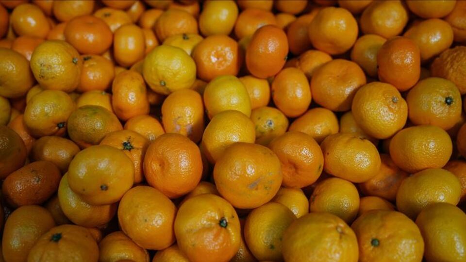 Verimi yüzde 50 düştü!